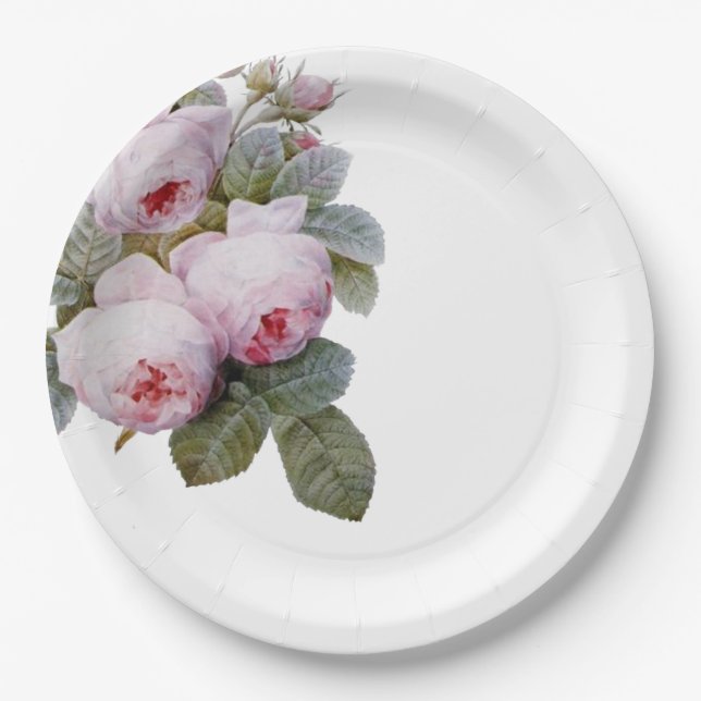 Assiettes En Carton Rose vintage (Devant)