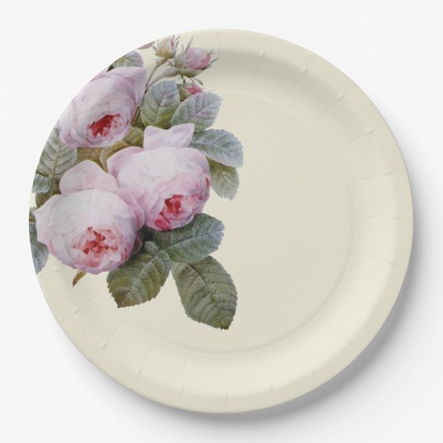 Assiettes En Carton rose vintage français (Devant)