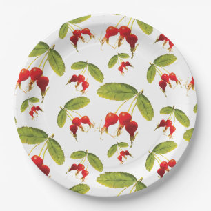 Assiettes En Carton Rosehips Motif 4 Angles