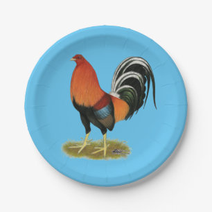 Assiettes En Carton Roster de Gamecock Wheaten
