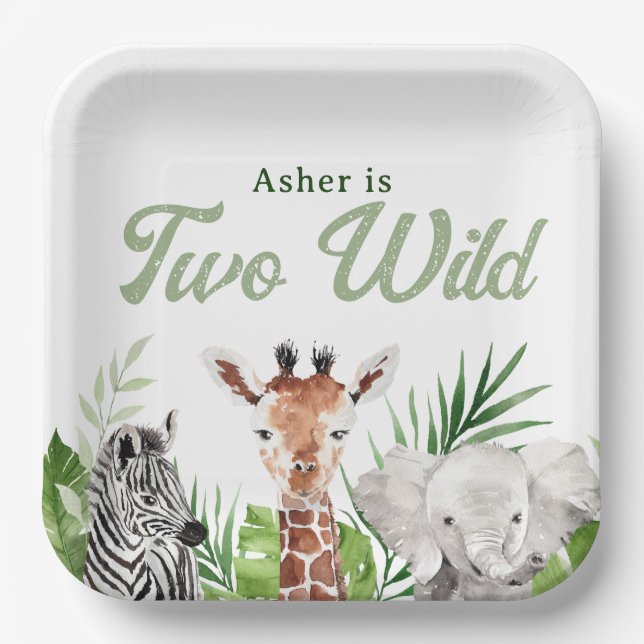 Assiettes En Carton Safari Animaux Anniversaire (Recto)