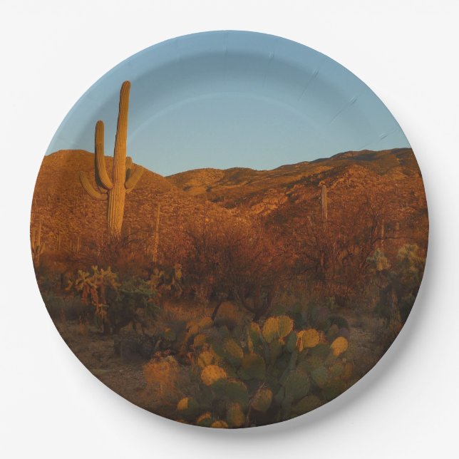 Assiettes En Carton Saguaro Sunset I Arizona Désert Paysage (Devant)