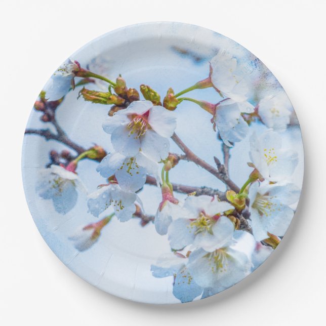 Assiettes En Carton Sakura - Fleur de cerisier japonaise (Devant)