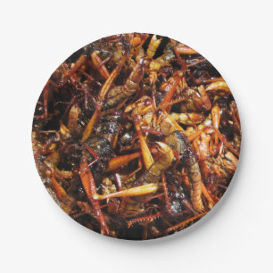 Assiettes En Carton Sauterelle frite (Takkataen Thot) Cuisine asiatiqu