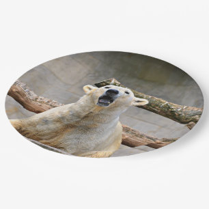 Assiettes En Carton Scène de l'ours polaire rugissant