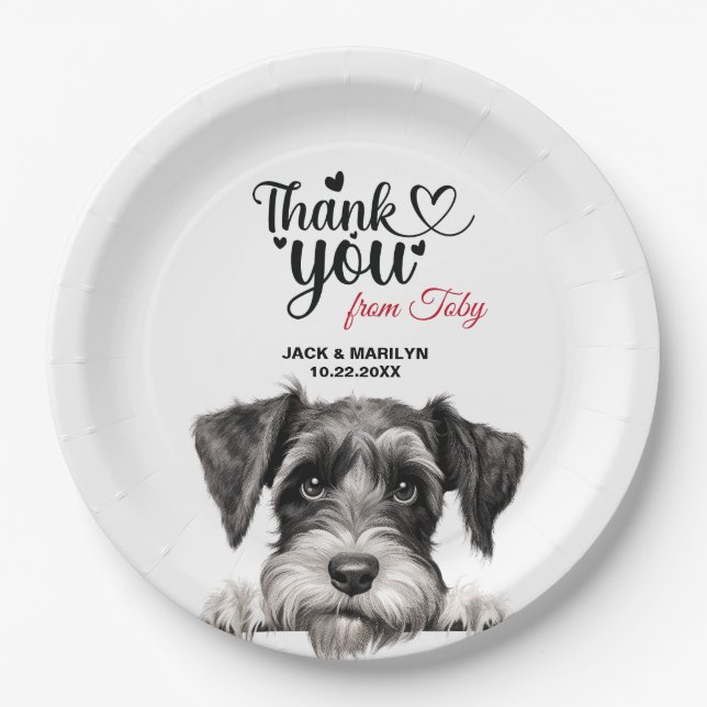 Assiettes En Carton Schnauzer standard (Devant)