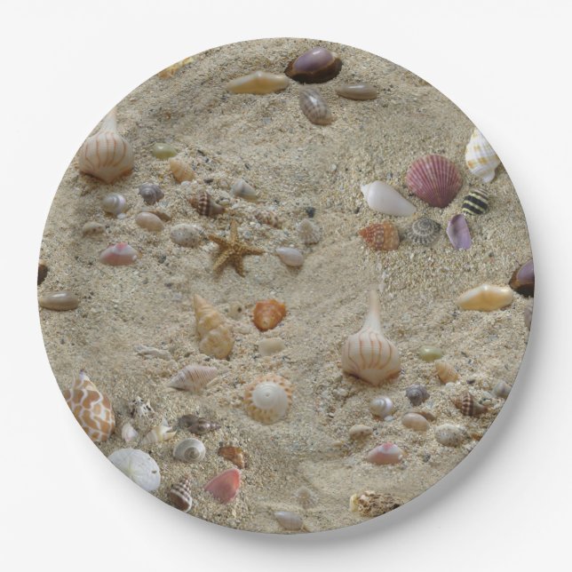 Assiettes En Carton Seashell à Beach Sand (Devant)