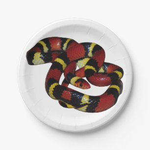 Assiettes En Carton Serpent de lait