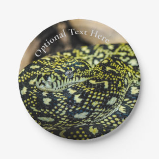 Assiettes En Carton Serpent Python de Tapis Jungle