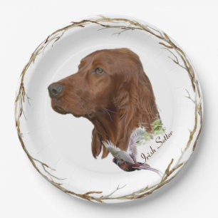 Assiettes En Carton Setter irlandais