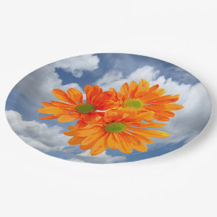 Assiettes En Carton Seulement 3 fleurs de marguerite de Gerbera +