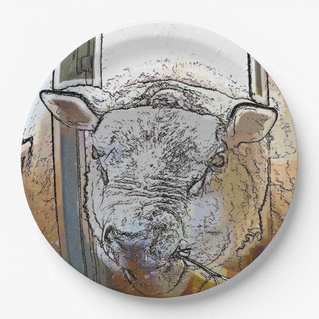 ASSIETTES EN CARTON SHEEP (Devant)