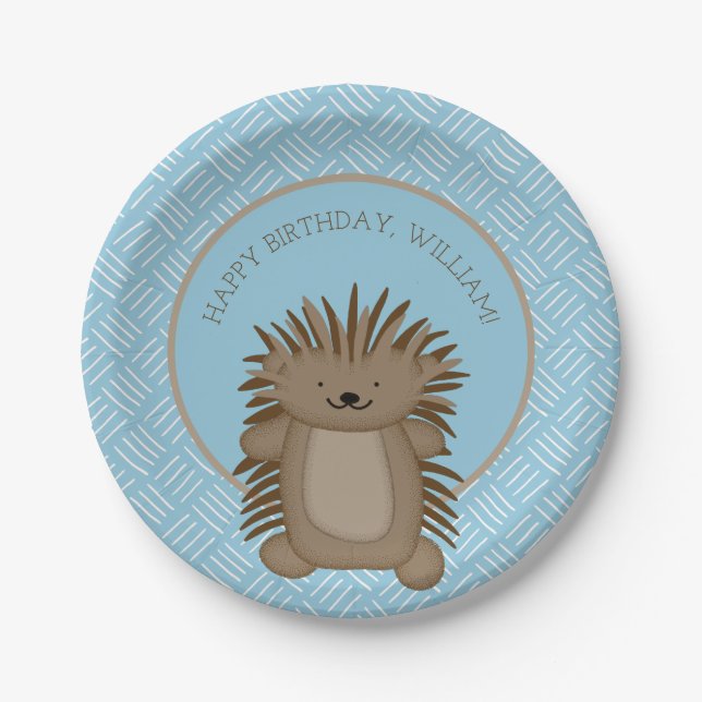 Assiettes En Carton Soirée Anniversaire de enfant de Porcupine (Devant)