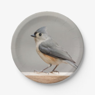 Assiettes En Carton Souris de tirelire
