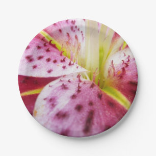 Assiettes En Carton Stargazer Lily brillant Magenta Floral