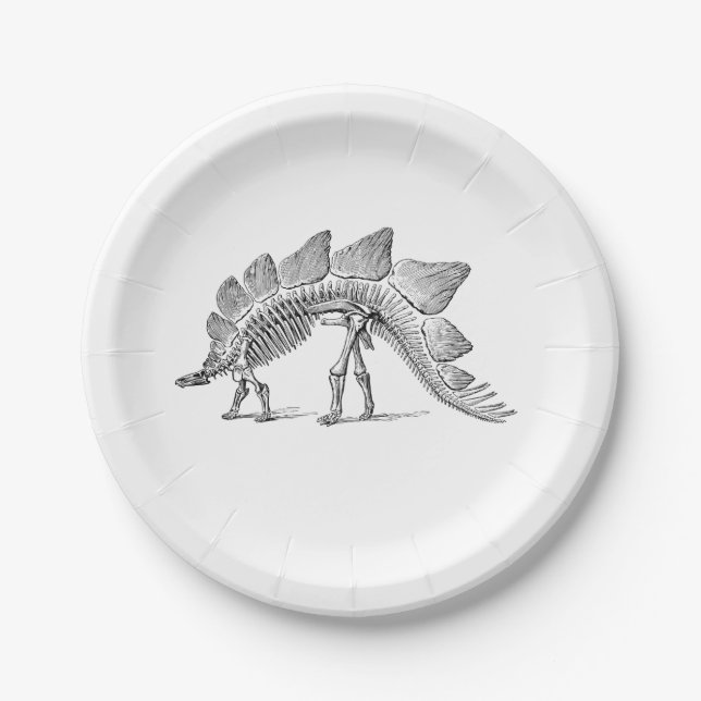 Assiettes En Carton Stegosaurus Dinosaure Squelette Fossile (Devant)