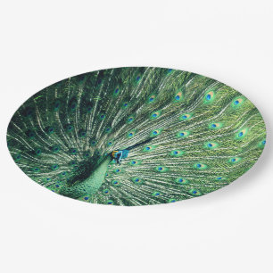 Assiettes En Carton Strut Peacock