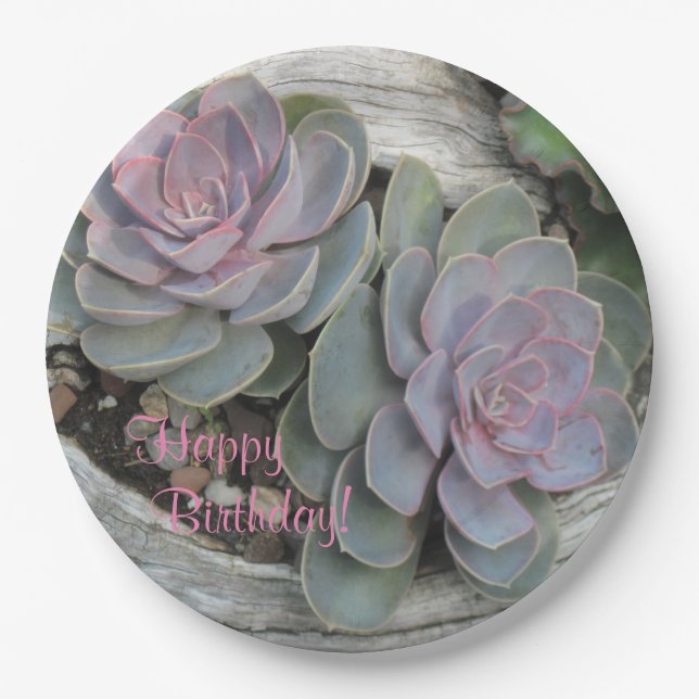 Assiettes En Carton Succulent d'anniversaire heureux (Devant)