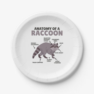 Assiettes En Carton Sweet Raccoon Explication Anatomie D'Un Raccoon