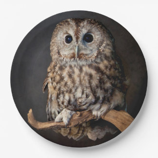 Assiettes En Carton Symbole de hibou de la sagesse