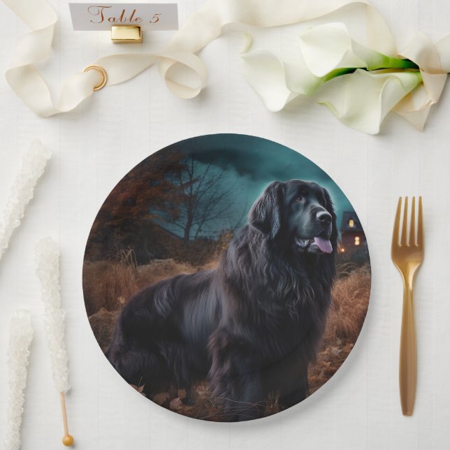 Assiettes En Carton Terre-Neuve Halloween (Mariage)