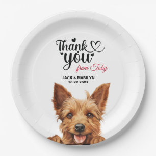 Assiettes En Carton Terrier australien