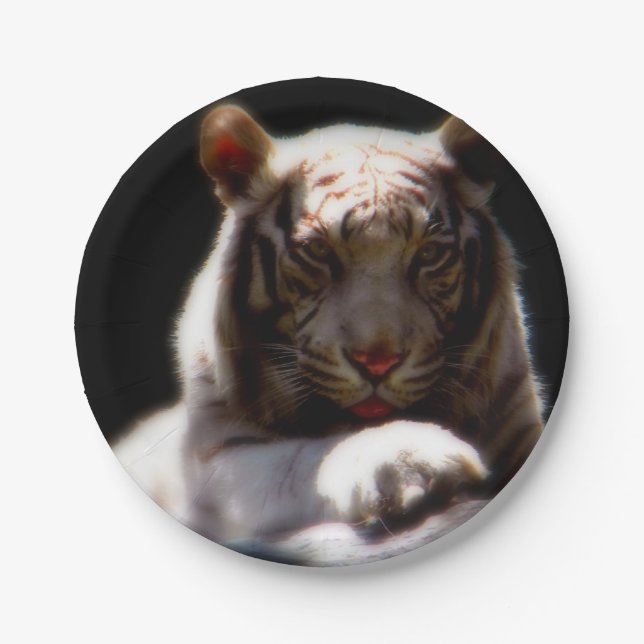 Assiettes En Carton Tigre (Devant)