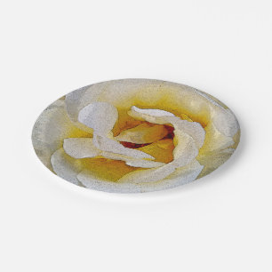 Assiettes En Carton tons blanc à jaune