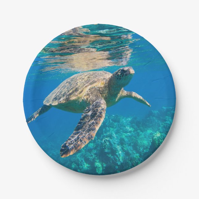 Assiettes En Carton Tortue de mer (Devant)
