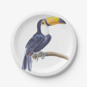 Assiettes En Carton Toucan, oiseau tropical