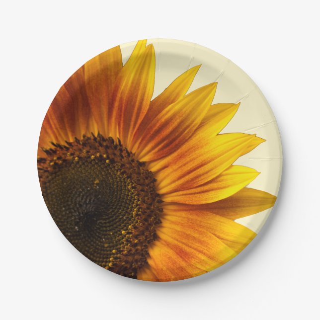 Assiettes En Carton Tournesol (Devant)
