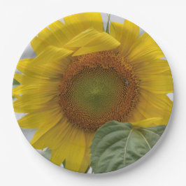 Assiettes En Carton Tournesol doré