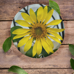Assiettes En Carton Tournesol Jaune Délicat Botanique Floral