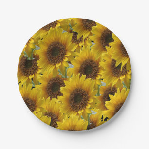 Assiettes en carton Tournesols