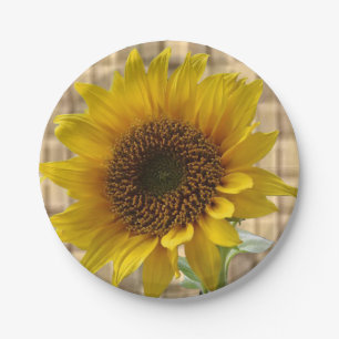 Assiettes En Carton Tournesols de plaques à papier