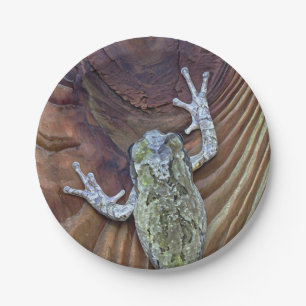 Assiettes En Carton Treefrog sur la barrière de cèdre
