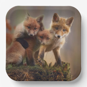 Assiettes En Carton Triplets Foxy