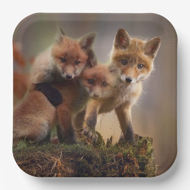 Assiettes En Carton Triplets Foxy (Recto)