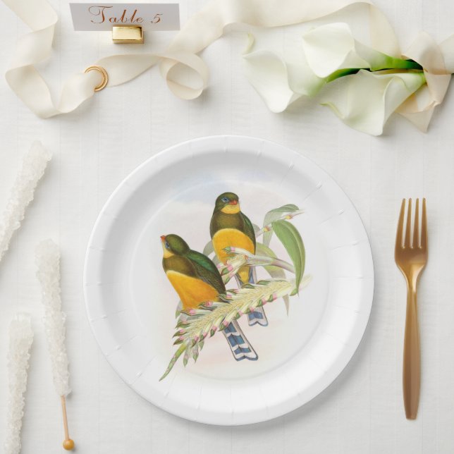 Assiettes En Carton Trogon de Macklot, (Mariage)