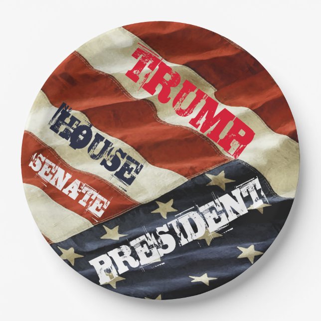 ASSIETTES EN CARTON TRUMP 2024 (Devant)