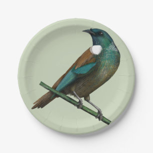 Assiettes En Carton Tui New Zealands Bird