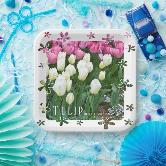 Assiettes En Carton Tulip (Fête)