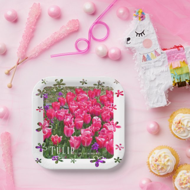 Assiettes En Carton Tulip (Fête)