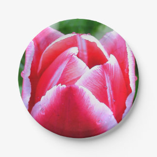 Assiettes En Carton Tulipe rose