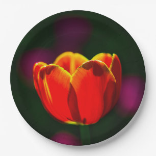 Assiettes En Carton Tulipe rouge fleur