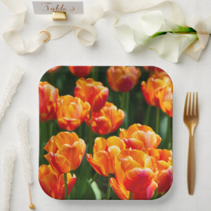 Assiettes En Carton Tulipes orange vif dans le parc