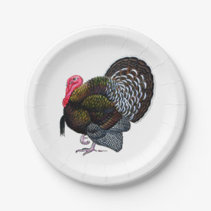 Assiettes En Carton Turquie : Bronze Tom