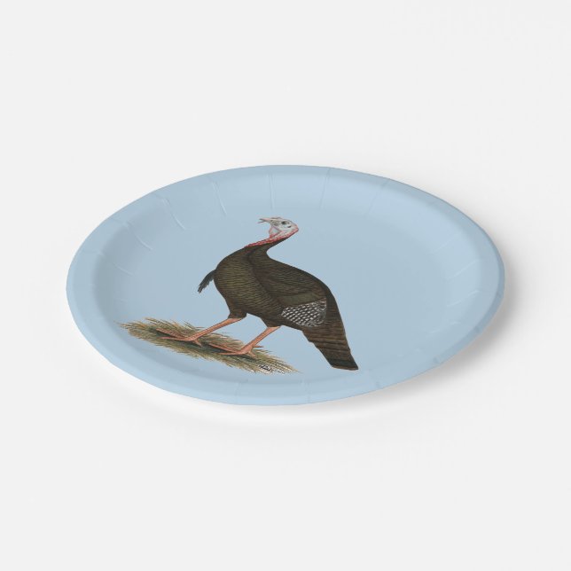 Assiettes En Carton Turquie : Tom sauvage de l'Est (Angle)