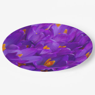 Assiettes En Carton Un champ de crocus violets