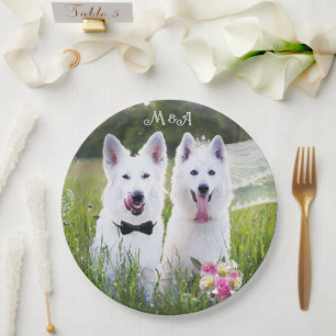 Assiettes En Carton Un couple romantique de chiens qui se marient